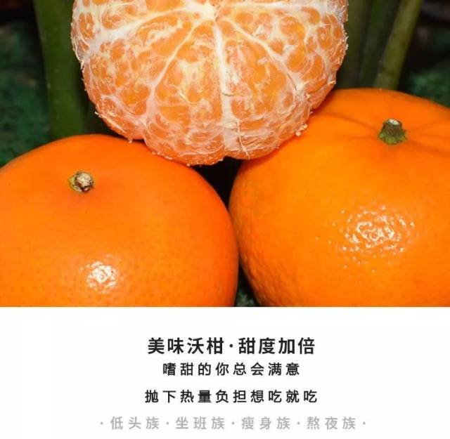 一口沃柑一口甜蜜|吃过这只沃柑,其它的都只是将就