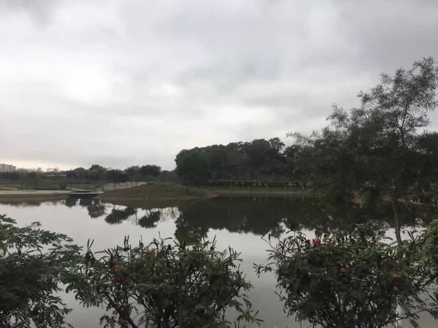 烟雨迷蒙下的石排海仔湖,竟然是这样的.