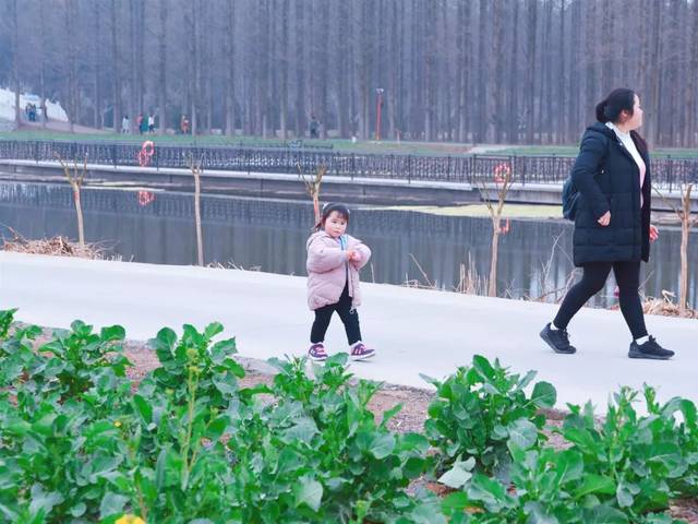 四海八方女神齐聚金湖水上森林,魅力三月,与您相约醉美花海!
