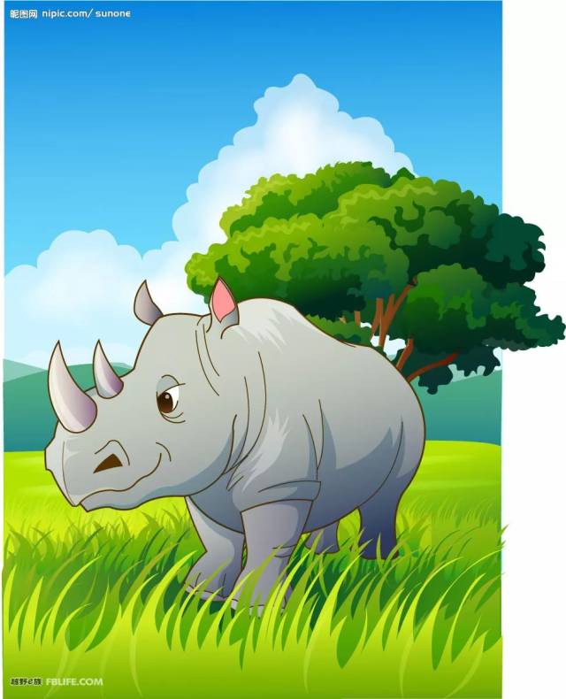 谁要一只便宜的犀牛|一天一个睡前故事