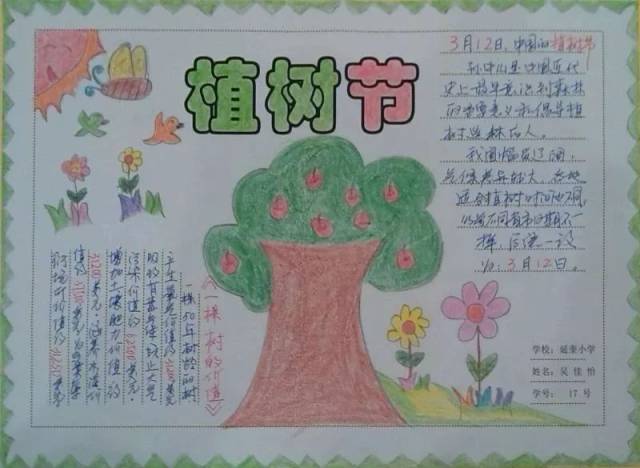 春天到了,关于植树节的手抄报图片内容大全,孩子一定用得到