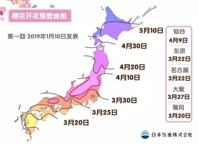 图/微博@刘顺儿妞 国内赏樱佳期 最近,美国bbc 晒了一张图片并配文字