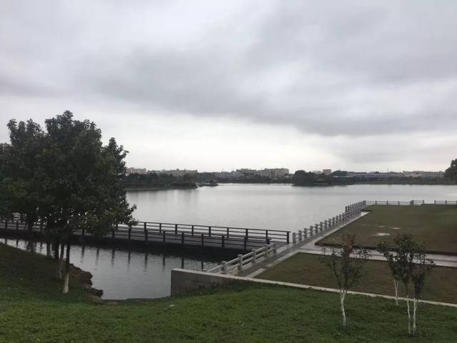 烟雨迷蒙下的石排海仔湖,竟然是这样的.