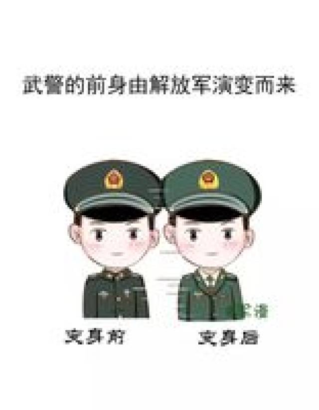 武警改革后,有啥不一样?