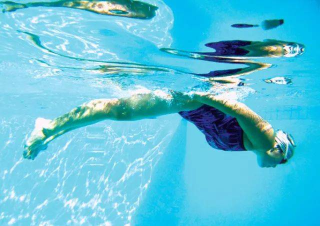 3套基础蝶泳打腿训练,让你像海豚一样游泳