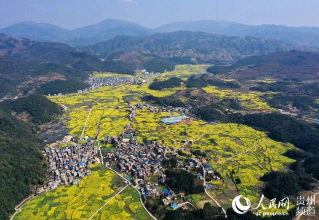 2019年3月10日,从江县洛香镇上皮林油菜花海景色.