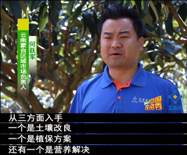 为什么施肥量降低了，枇杷长的却比别人的好？