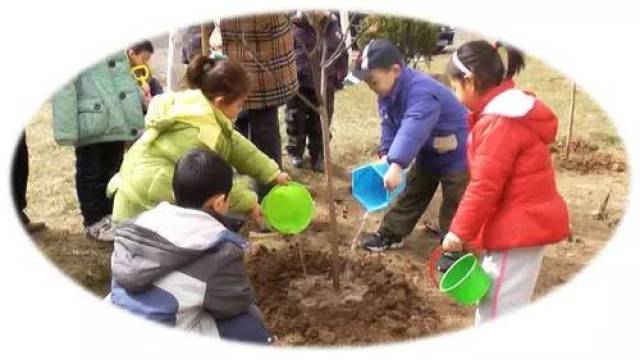 幼儿园植树节主题方案七则