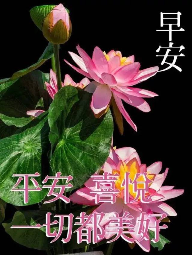 二月初五大家早上好图片大全 早晨好祝福语动态表情