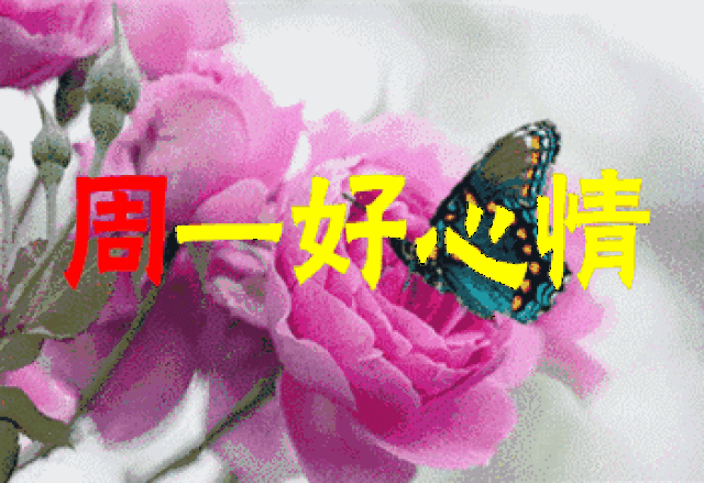 周一早上好问候动态表情图片 周一早安问候语动态图片