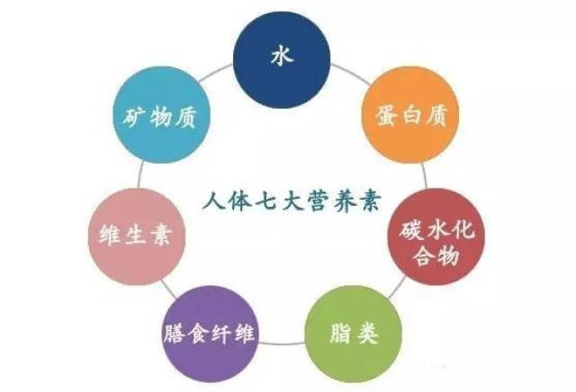 正常人体每天需要多少营养素呢?