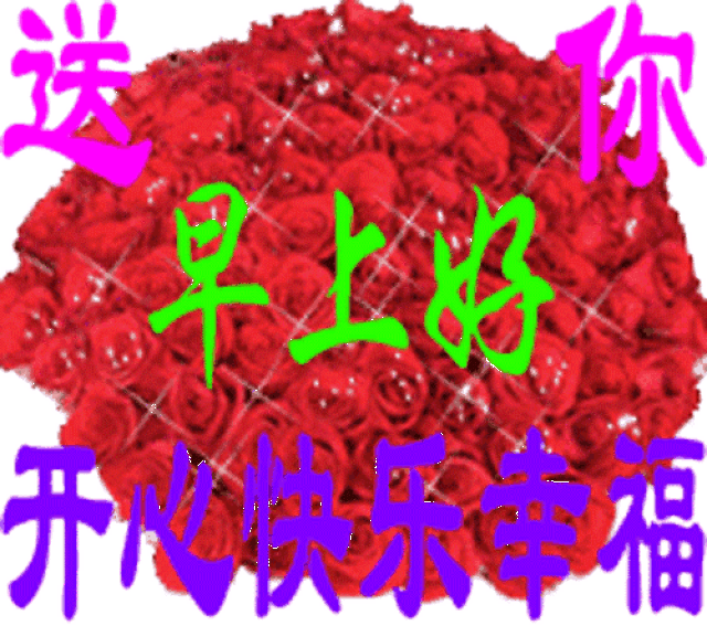 500_443