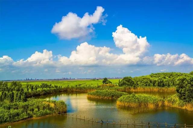 崇明西沙湿地总面积5400亩,是崇明岛国家地质公园的组成部分,也是上海