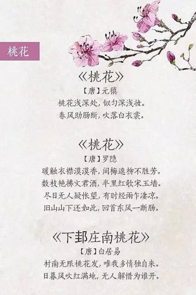 21首关于"春花"的诗词,记下来,跟孩子玩飞花令时用得上!