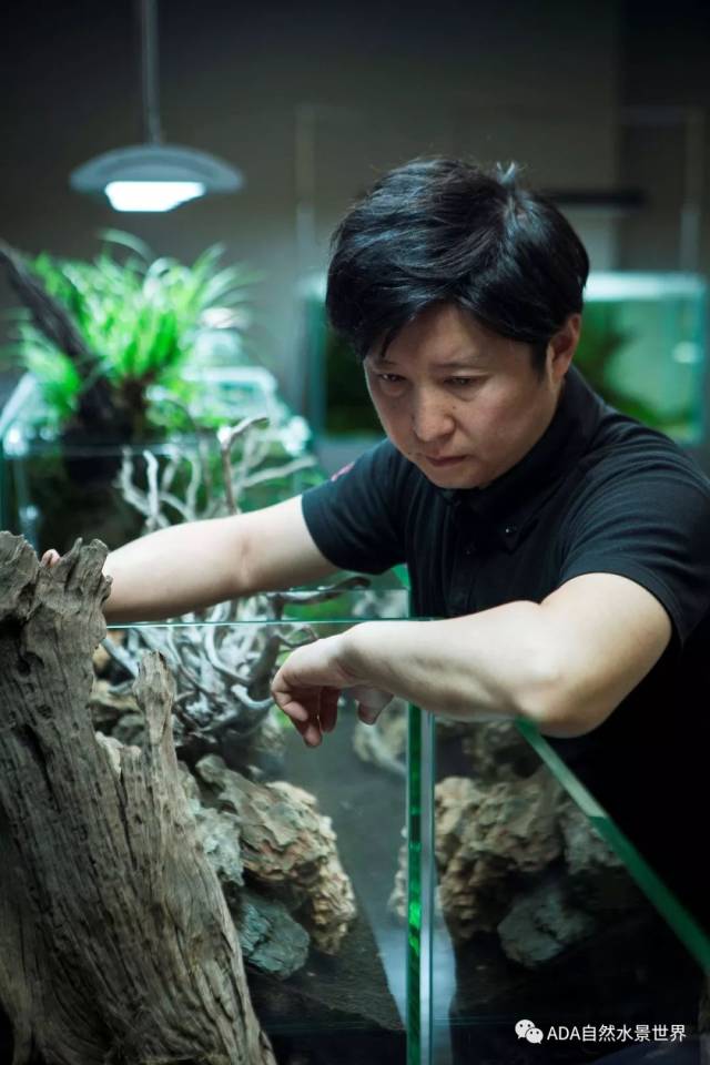 近年来,作为ada的代表造景师被人们所熟知,在自然水族展厅中制作了