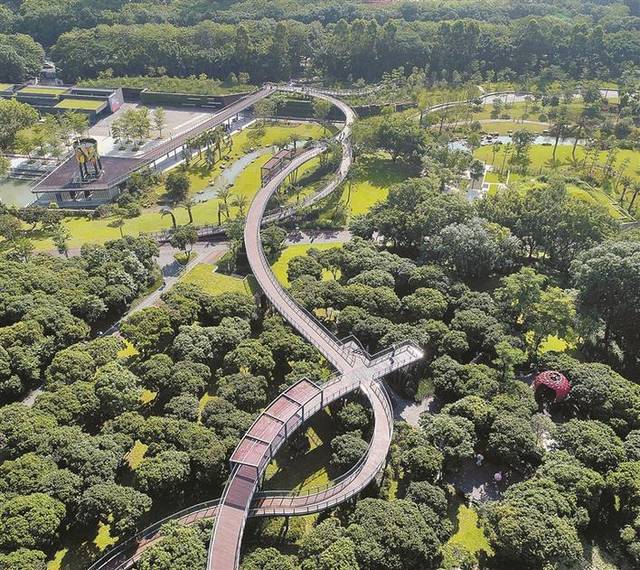深圳2020年绿化率将超50% 让市民生活在森林城市里