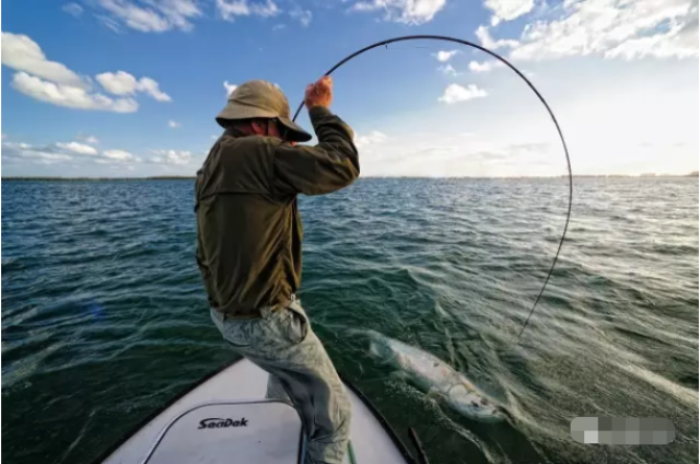 5分钟详解碳纤维鱼竿,看完此文你就是专家!