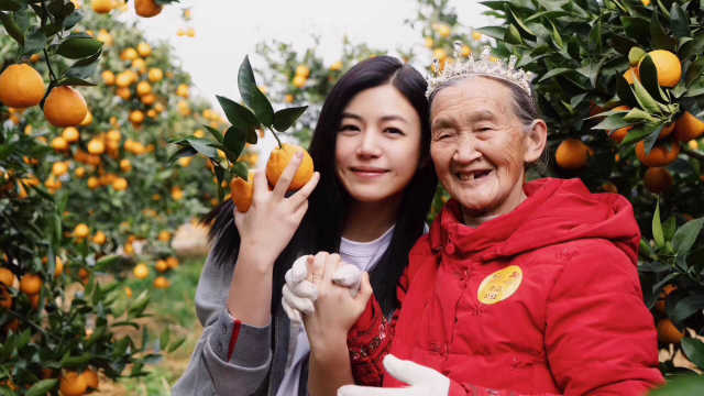 扶贫路上果飘香 陈妍希现场助阵石棉黄果柑开秤上市