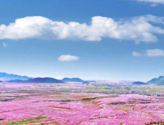 世外桃源人间仙境:春季赏花推荐之桃花篇