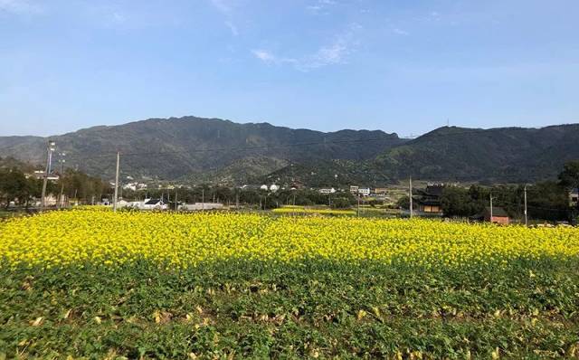 地址:瑞安市湖岭芳庄金川英山村 自驾路线:温州市区—瓯海大道—s10