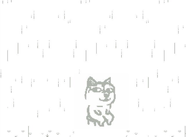 304_224