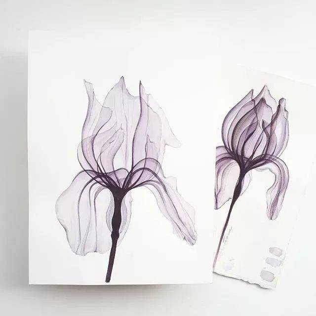 她画的水彩花卉,居然把花瓣画出了透明的感觉,也太美了吧!