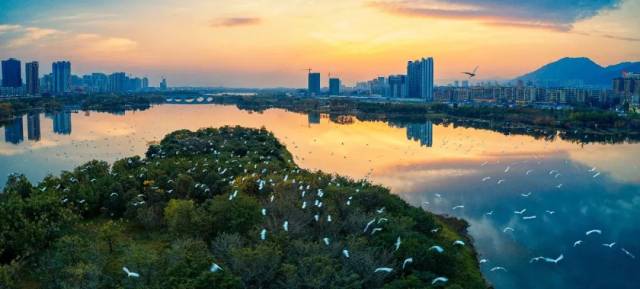 清新或设高铁站？最新消息在这里！