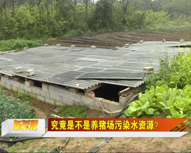 随后,记者在另一家养猪场的大门外,的确看到了一个"7"字形的化粪池