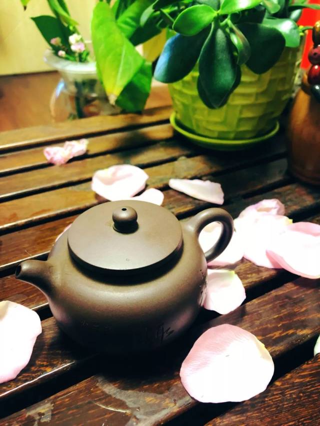 【徽茶·生活】沏一杯暖茶,在春日静以养清