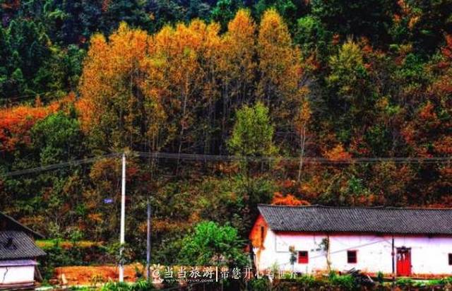 茅箭区大川镇浪溪村