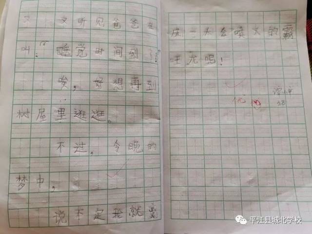 【妙笔生花】《一个接一个》仿写