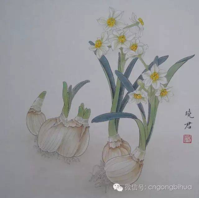 工笔花鸟设色技法——水仙设色步骤