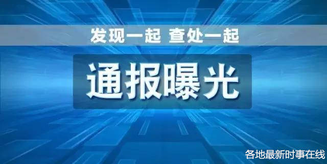 湘西州6起医保领域违纪违法典型案例虽成历史"高山旗手"希望各位警钟