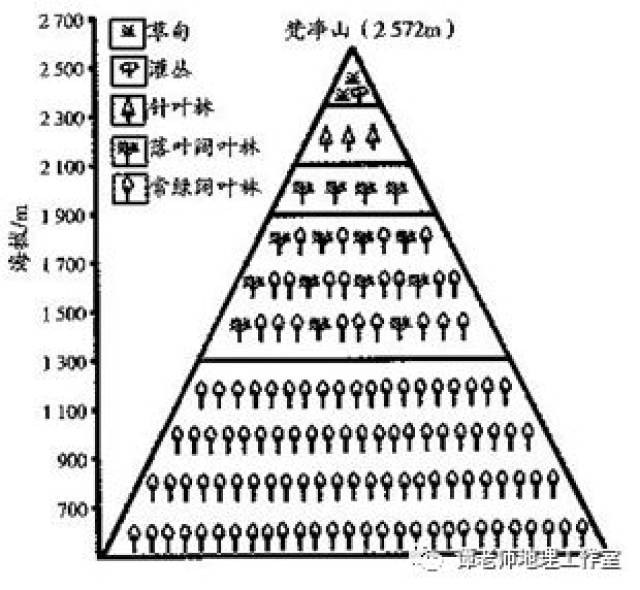 的生物多样性的原因有纬度较低,山体相对高差大,具有丰富的垂直气候带