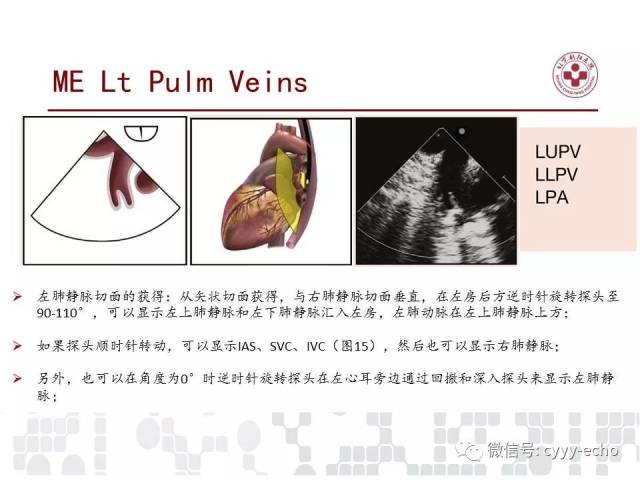 检查在儿童和成人先天性心脏病中的应用指南:美国超声心动图协会推荐
