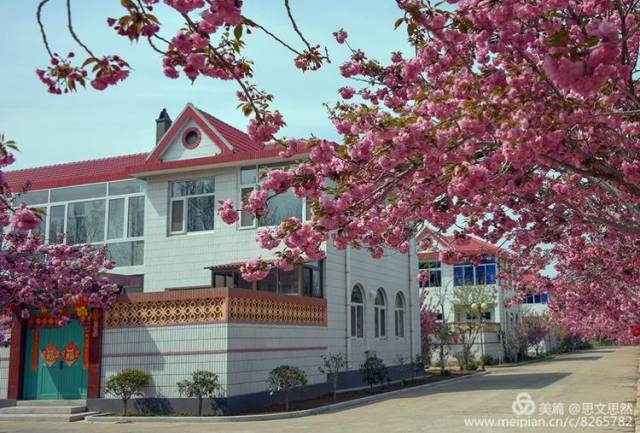 莱阳的濯村,一直是我梦牵魂绕的地方