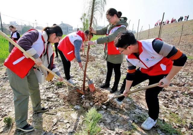 今年的"全省青少年植树护绿行动"在黄州举行,来看看吧