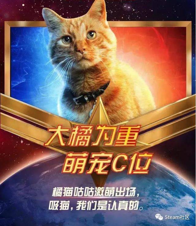 一只橘猫撑起半部《惊奇队长》的票房 被网友恶搞做成表情包 网友:大