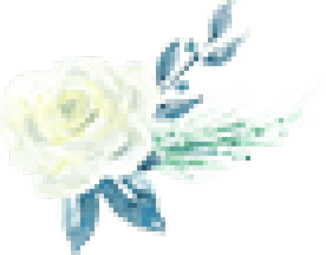 【物理致敬】致敬霍金：探索宇宙永不止步