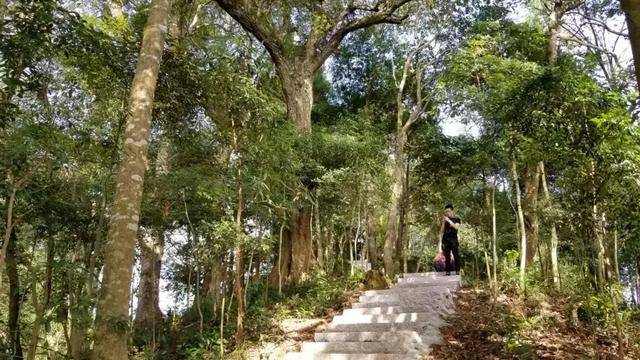 紫竹村后有一座祈福宫,占地面积近300平方米,整个建筑为砖木结构,至今