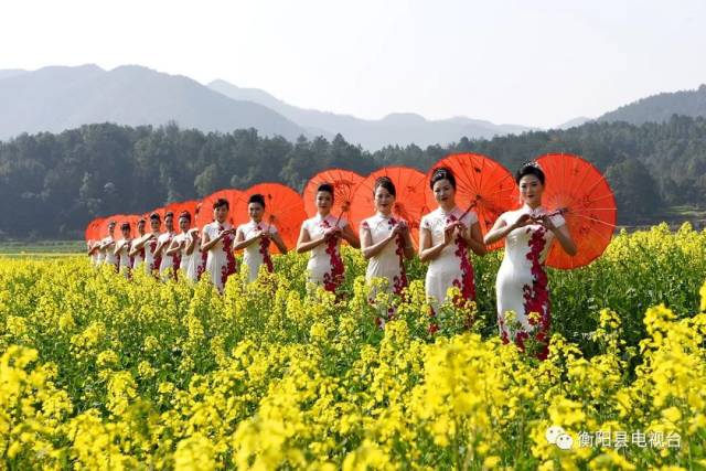 2019年3.15日衡阳县油菜花节——衡阳最美的油菜赏花地扫黄一日游