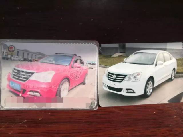 只见行驶证照片上,车身的确为这种"粉红色",车辆和行驶证十分吻合.