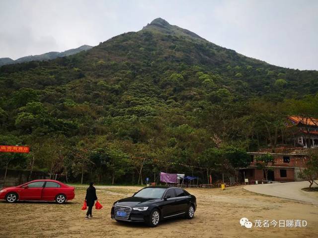 希望能早日规划动工, 将浮山岭打造成为茂名的白云山, 同意的请顶一