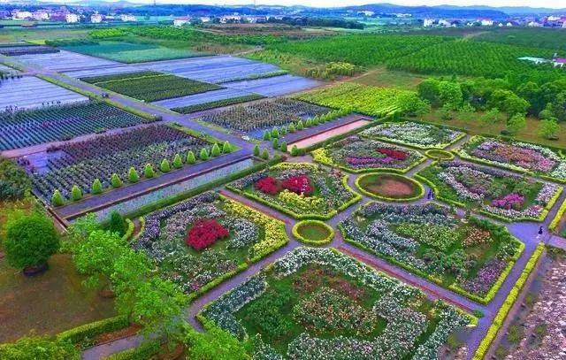 爱情花卉小镇 景区地址:丰城市沪昆高速(g60) 梅林出口 游玩时间:3-5