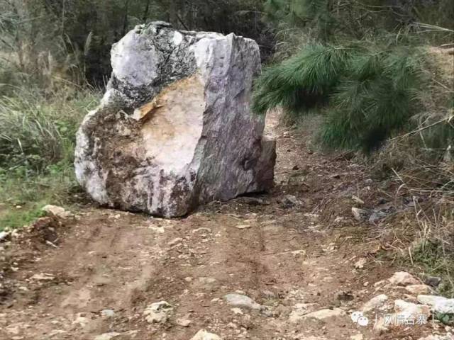 (内附视频)