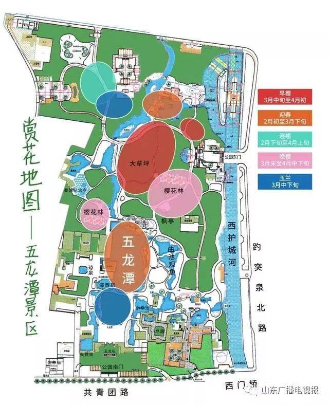 红梅绽放 赏花路线 ↓↓↓ 赏花期:3月-4月上旬 赏花特点:五龙潭樱花