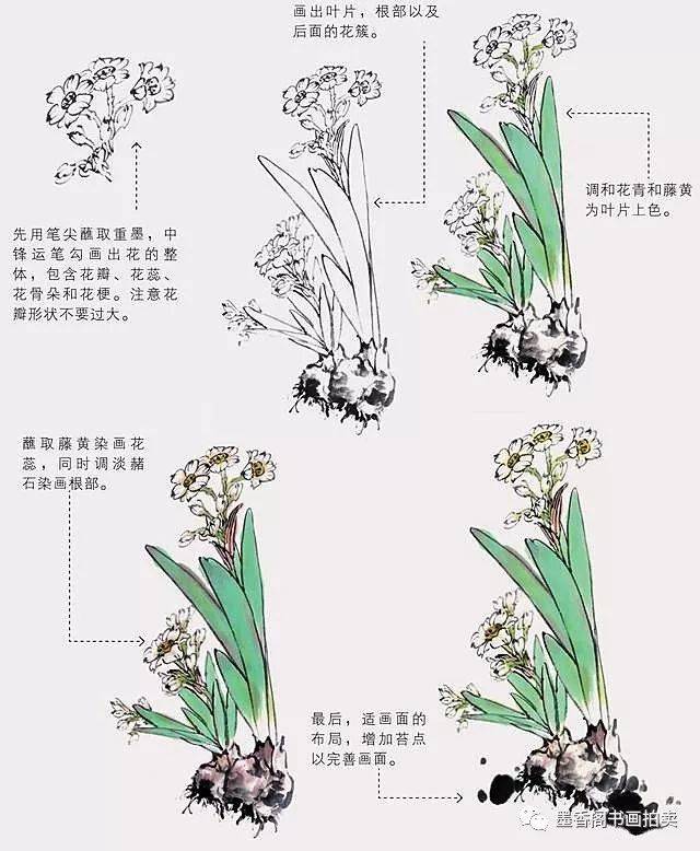 国画教程丨写意水仙的画法步骤详解