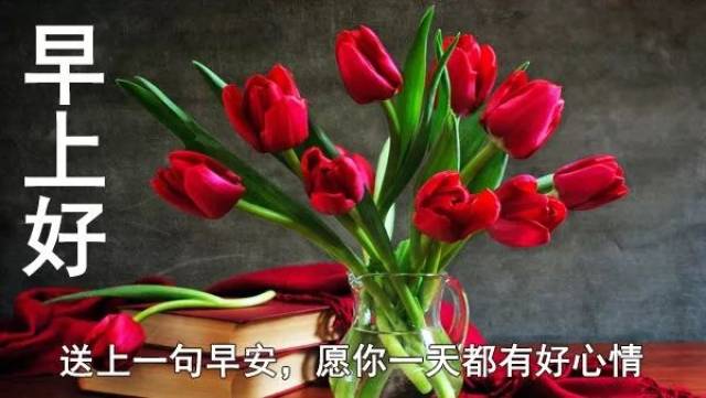 春天早上好阳光暖心的祝福句子 春天微信特漂亮早上好