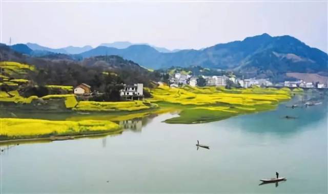 皖南最具特色的油菜花观赏地当属新安江山水画廊,卢村,齐云山和石潭