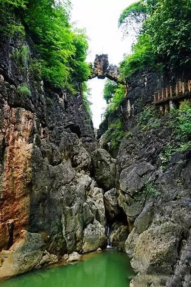 别去日本了!从厦门坐飞机只要3小时,票价159元